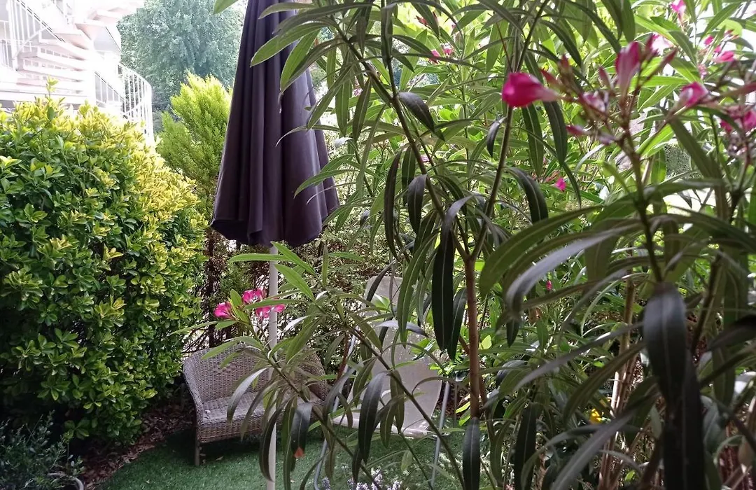 Homestay B&B La Bruyere Chez L'Habitant-1